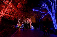 National Zoo during Zoo Lights.