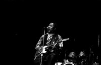 Muddy Waters/ State Theater